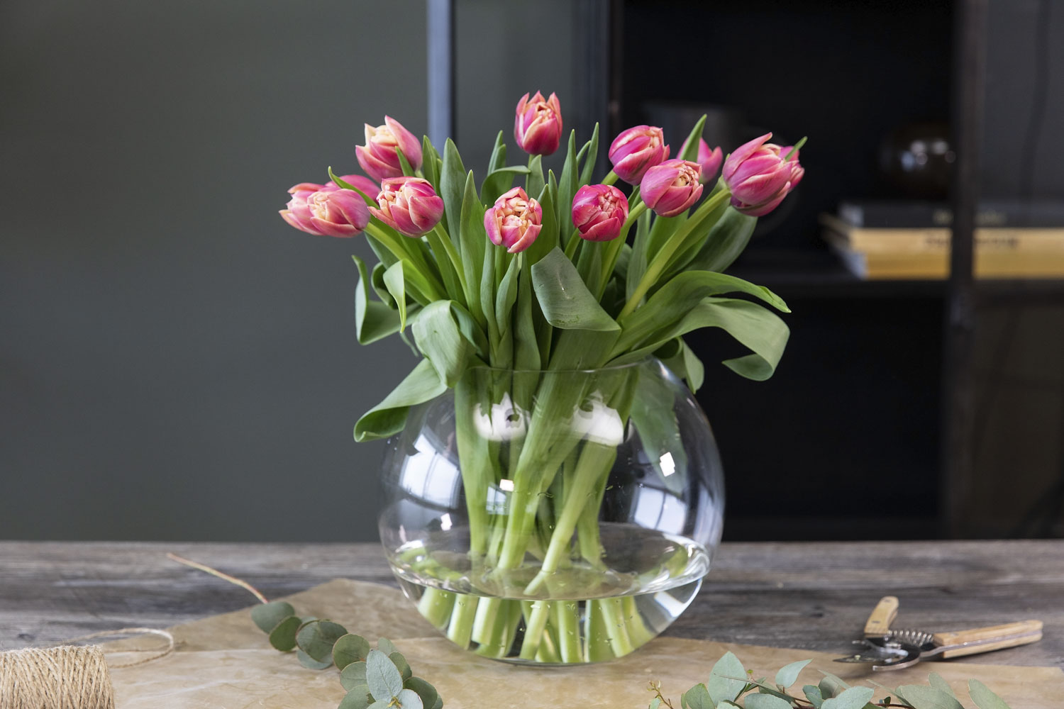 Tulipaner